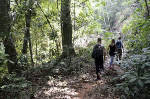 Trilha Floresta da Tijuca - Alexandre Macieira