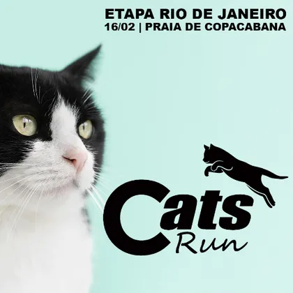 CATS RUN 2025 - Corrida 3KM e 5KM | Riotur.Rio