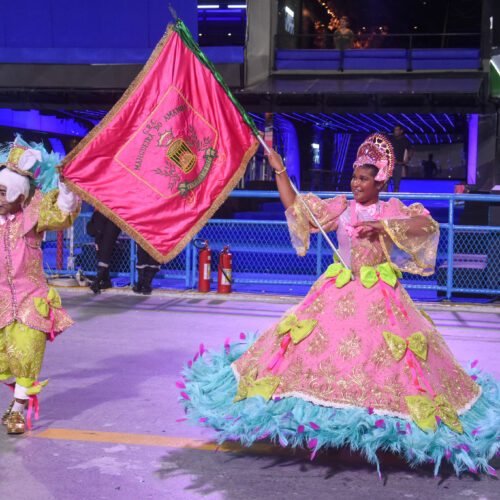 Desfiles das Escolas Mirins ganham novo formato